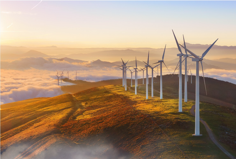 Image for Net Zero Australia report launch: Biodiversity and Energy System Planning